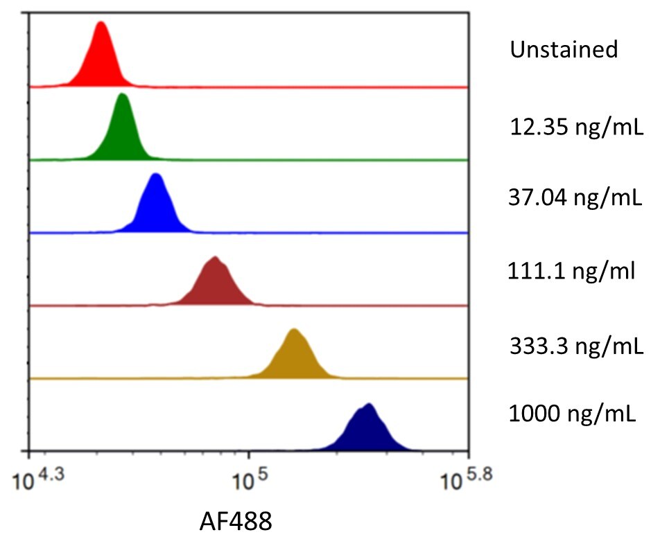 Streptavidin coated beads conjugated to biotinylated anti-human Mesothelin Monoclonal Antibody were stained with the indicated concentrations of Recombinant Human Mesothelin C-Terminal (aa 296-580) His-tag Alexa Fluor® 488.
